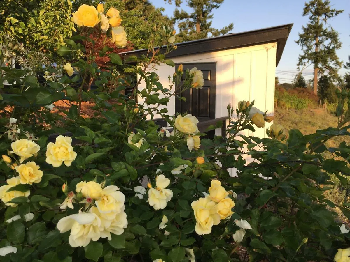 Winery Retreat With Pool Hot Tub Sauna Bed & Breakfast Brentwood Bay Canada