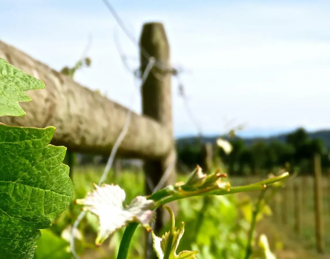 Winery Retreat With Pool Hot Tub Sauna Bed & Breakfast Brentwood Bay 0*,